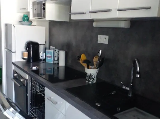 Apartment En Climatise Avec Parking